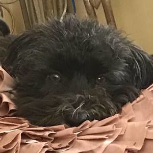 Meet your Posher, Adrienne