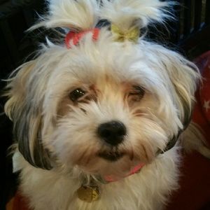 Meet your Posher, Sharon