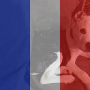 Meet your Posher, Gabriel