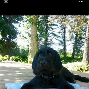 Meet your Posher, Vicki