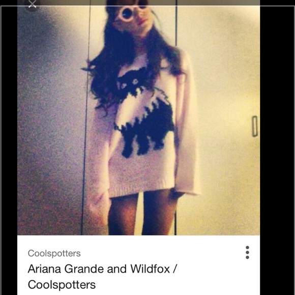 Wild fox sweatshirt! Good condition
