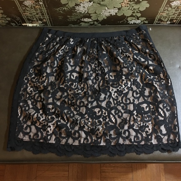 Ann Taylor Loft Skirt