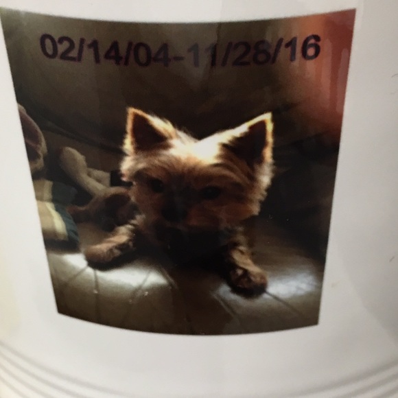 In memory of pooper - Picture 3 of 4