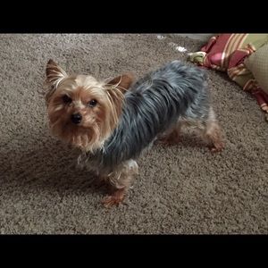 Meet your Posher, Jodi