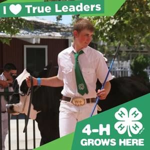 Meet your Posher, Cody