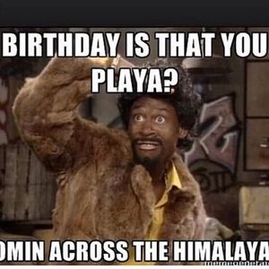 Meet your Posher, Bell