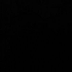 Meet your Posher, Wayne