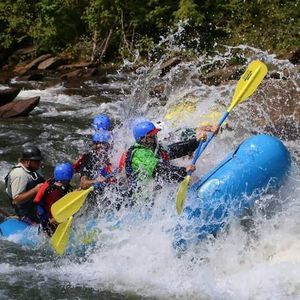 Meet your Posher, Nathan