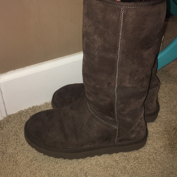 Brown tall uggs