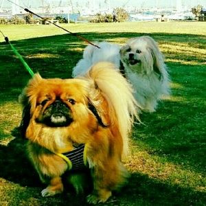 Meet your Posher, Michelle