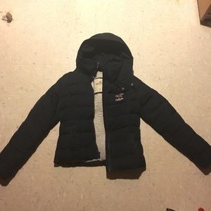Hollister Winter Jacket
