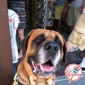 Meet your Posher, Michelle