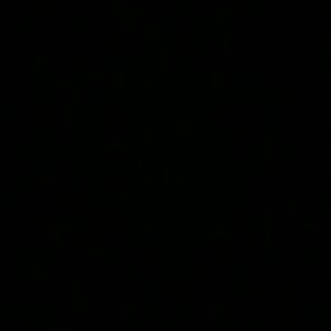 Meet your Posher, Samuel