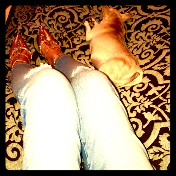 ~ INC kitten 👠 💋 ~