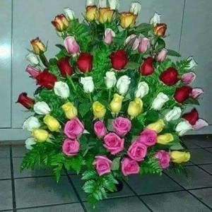 Meet your Posher, Tammy