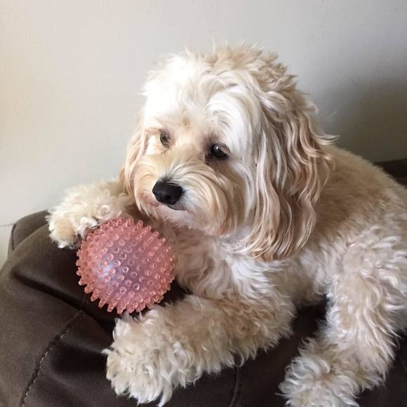 Meet your Posher, Patti