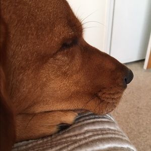 Meet your Posher, Nicolette