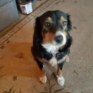 Meet your Posher, Devon