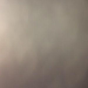 Meet your Posher, Shane