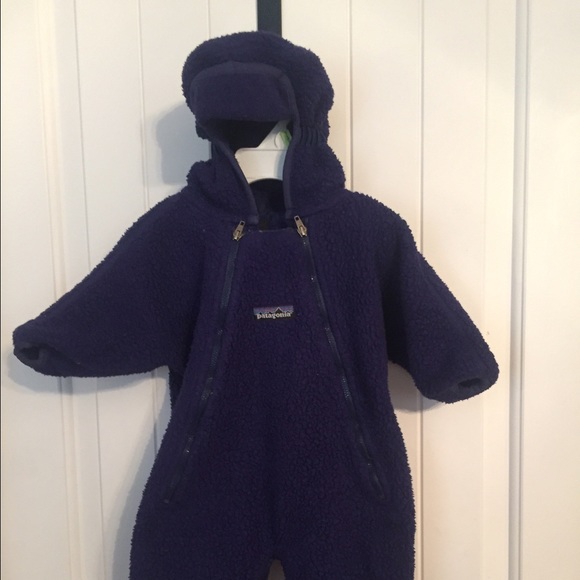 Patagonia bunting