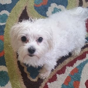 Meet your Posher, Marianne