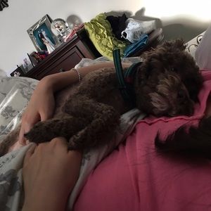 Meet your Posher, Taewoong