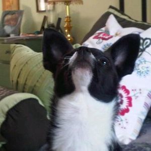 Meet your Posher, Val