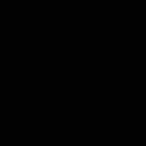 Meet your Posher, Vickie