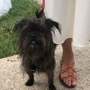 Meet your Posher, Katrina