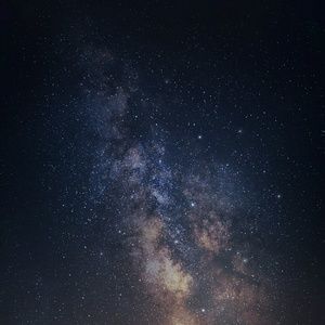 Meet your Posher, Timothy