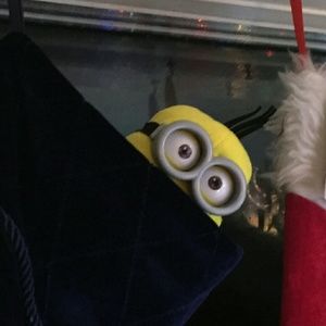 Meet your Posher, Lucinda