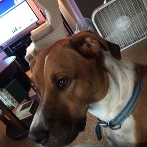 Meet your Posher, Doretha