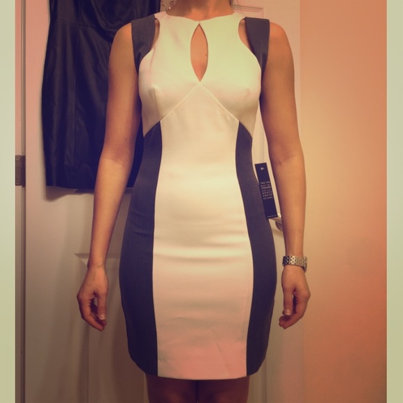 Black Halo Colorblock Sheath Dress