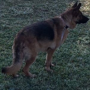 Meet your Posher, Daniella