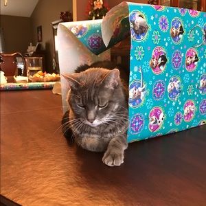 Meet your Posher, Donna