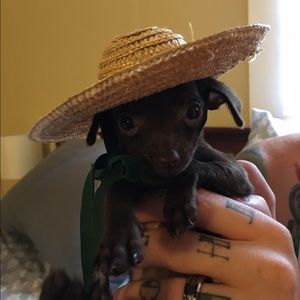 Meet your Posher, Cayce