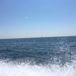 Meet your Posher, Whitney