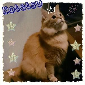 Meet your Posher, Etsuko