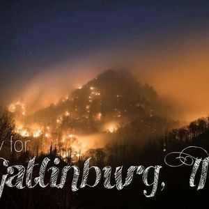 Meet your Posher, Mickeybrandy