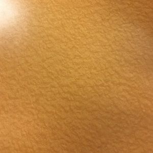 Meet your Posher, Maya