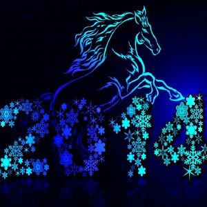 Meet your Posher, Ann