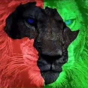 Meet your Posher, Donald