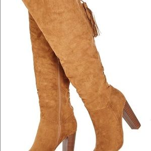 Over The Knee Chestnut Suede Boots