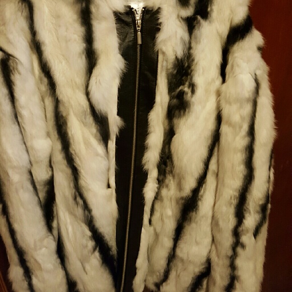 Lapin Jacket - Picture 2 of 2