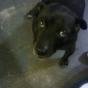 Meet your Posher, Norma