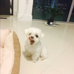 Meet your Posher, Yoojin