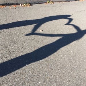 Meet your Posher, Mackenzie