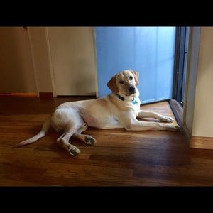 Meet your Posher, Sonja