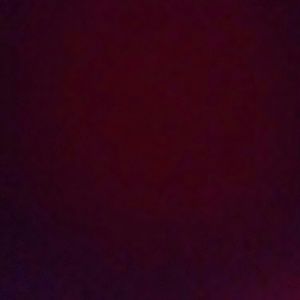 Meet your Posher, Peter