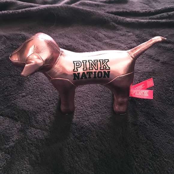 PINK nation dog